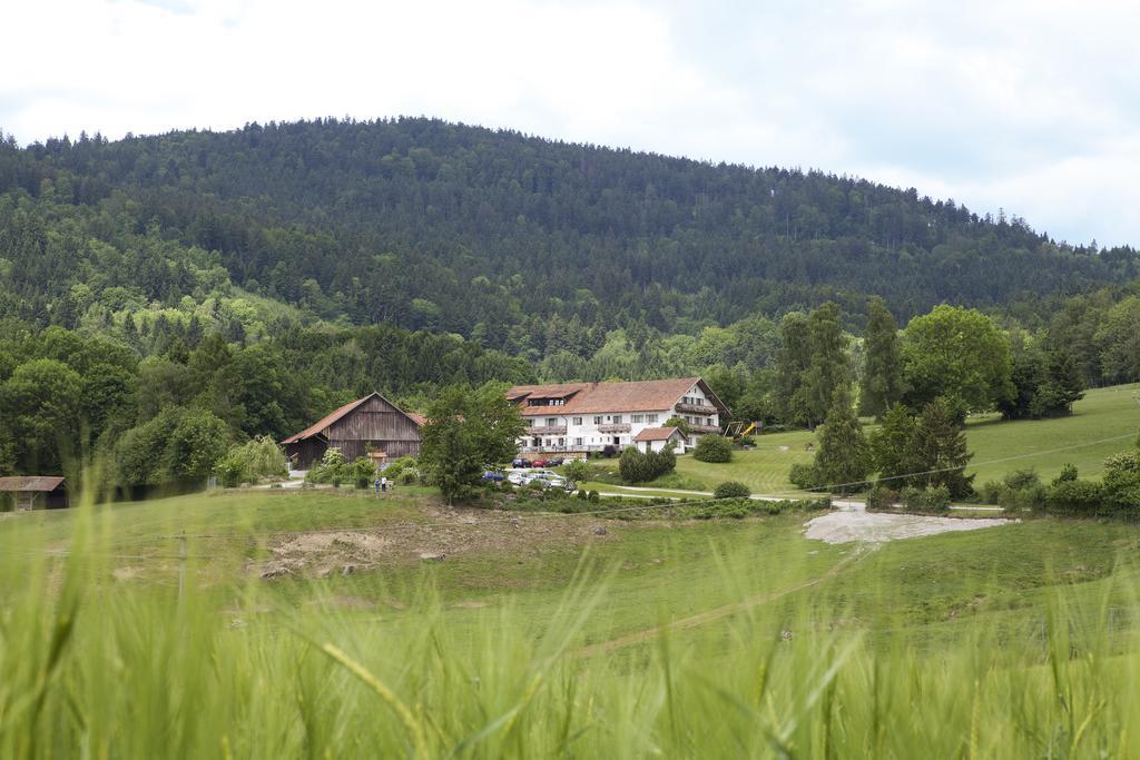 Wild-Berghof Buchet Hotel Bernried Szoba fotó