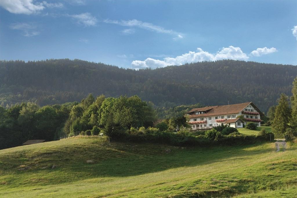 Wild-Berghof Buchet Hotel Bernried Kültér fotó